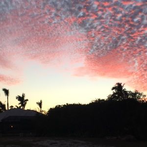 Meet your Posher, Lily